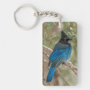 Porte-clés Geai de Steller dans un arbre