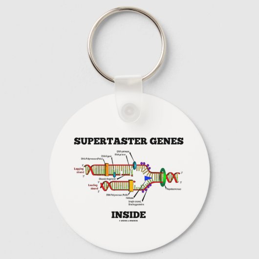 Porte-clés Gènes supertaster à l'intérieur (réplication de l' (Recto)