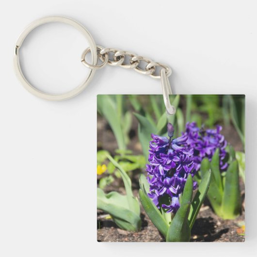 Porte-clés Géocinthe bleu au printemps (Devant)