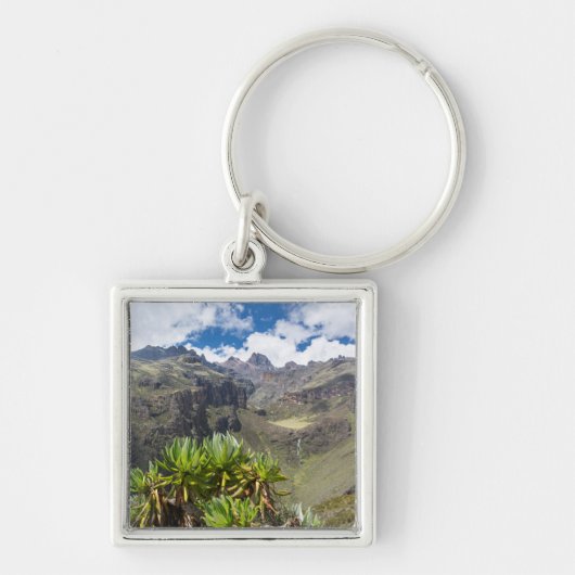 Porte-clés Giant Groundsel ou Dendrosenecio (Devant)