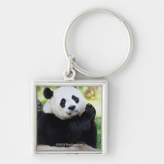 Porte-clés Giant Panda assis (Devant)