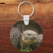 Porte-clés Giant turtle (Recto)