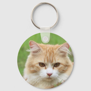Porte-clés Gingembre et chat blanc, tellement mignon !