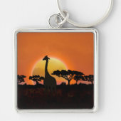 Porte-clés Girafe au coucher du soleil | Faune de (Devant)