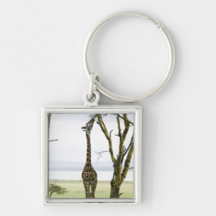Porte-clés Girafe au Kenya, Afrique