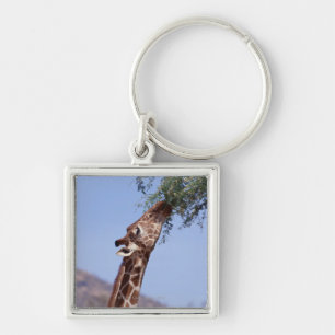 Porte-clés Girafe réticulée