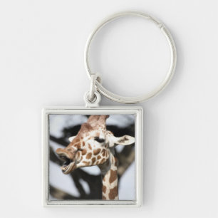 Porte-clés Girafe réticulée au visage drôle, San Francisco