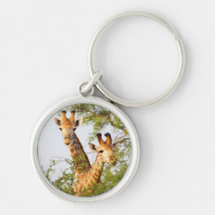 Porte-clés Girafes dépassant de la végétation