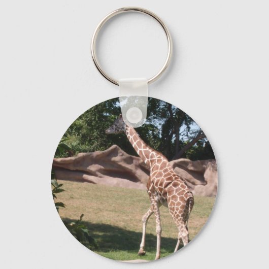 Porte-clés "Giraffe gracieuse" Porte - clé photo (Recto)