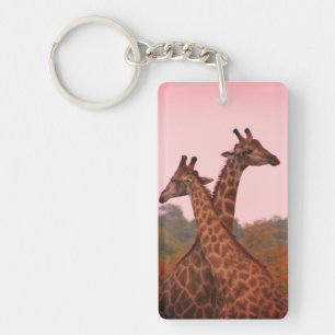 Porte-clés Giraffes