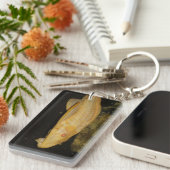 Porte-clés Glyptoperichthys gibbiceps (Devant droit)