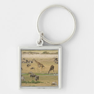 Porte-clés Gnous, Zèbres et Girafes