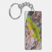 Porte-clés Gobie de crevettes jaune (Devant gauche)