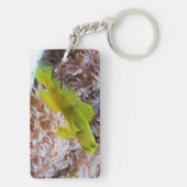 Porte-clés Gobie de crevettes jaune (Dos)