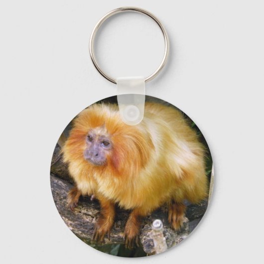 Porte-clés Golden Lion Tamarin (Recto)