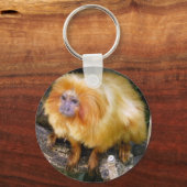 Porte-clés Golden Lion Tamarin (Recto)