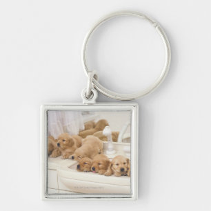 Porte-clés Golden retriever ; est relativement un moderne et