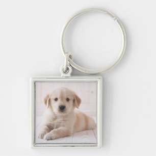 Porte-clés Golden retriever se couchant