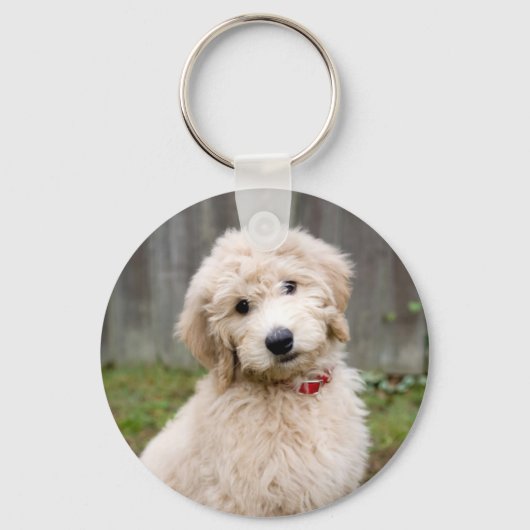 Porte-clés Goldendoodle Puppy Se Trouve Dans L'Herbe (Recto)