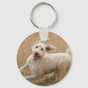 Porte-clés Goldendoodle traverse l'herbe