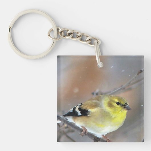 Porte-clés Goldfinch (Devant)