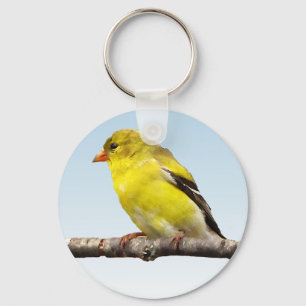 Porte-clés Goldfinch