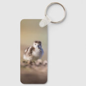 Porte-clés Goose Chick Nature Photo (Verso)