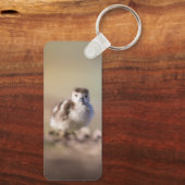 Porte-clés Goose Chick Nature Photo (Verso)