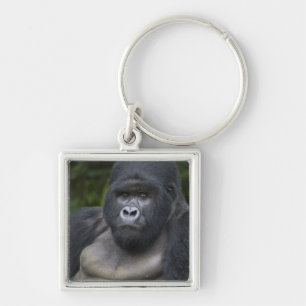 Porte-clés Gorille des montagnes et dos argenté