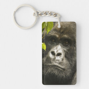 Porte-clés Gorille des montagnes, Gorilla beringei beringei,