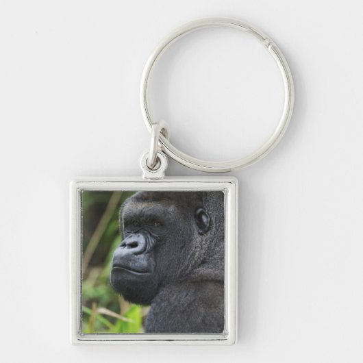 Porte-clés Gorille des plaines à dos argenté, gorille captif (Devant)