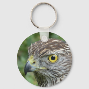 Porte-clés goshawk