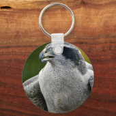 Porte-clés Goshawk du Nord (Recto)