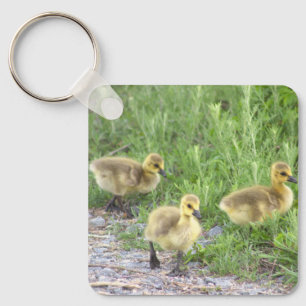 Porte-clés Goslings Porte - clé photo