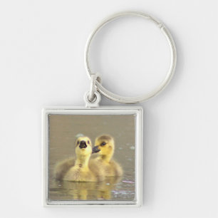 Porte-clés Goslings Porte - clé photo