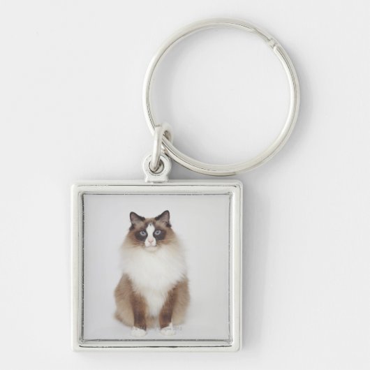 Porte-clés Grand chat velu (Devant)