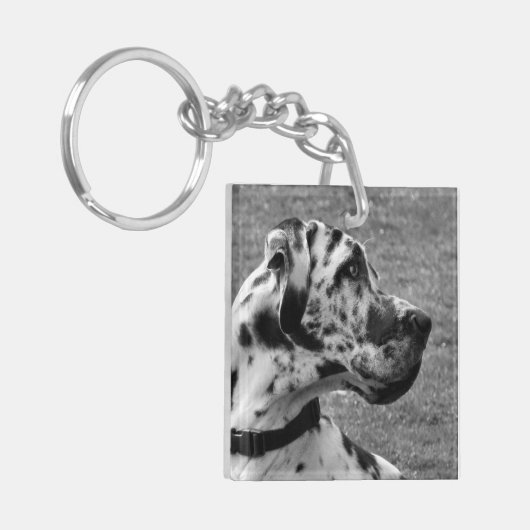 PORTE-CLÉS GRAND DANE (Devant gauche)