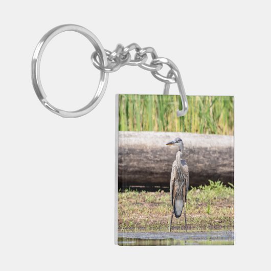 Porte-clés Grand Héron bleu debout dans le lac Champlain (Devant gauche)