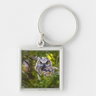 Porte-clés Grand jeune hibou à cornes