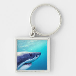 Porte-clés Grand requin blanc   Afrique du Sud