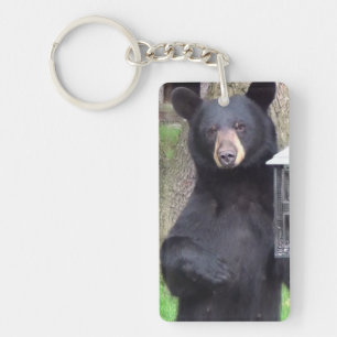 Porte-clés Grande Ours Doux  