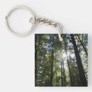 Porte-clés Grands Pins