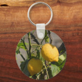 Porte-clés Graphiques Citron Espagnol (Recto)