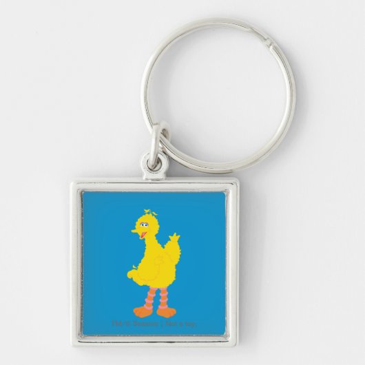 Porte-clés Graphisme de Gros Oiseau (Devant)