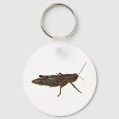 Porte-clés Grasshopper (Recto)