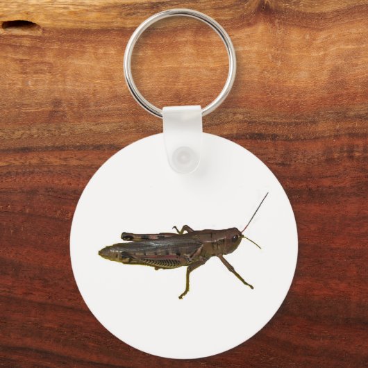 Porte-clés Grasshopper (Recto)