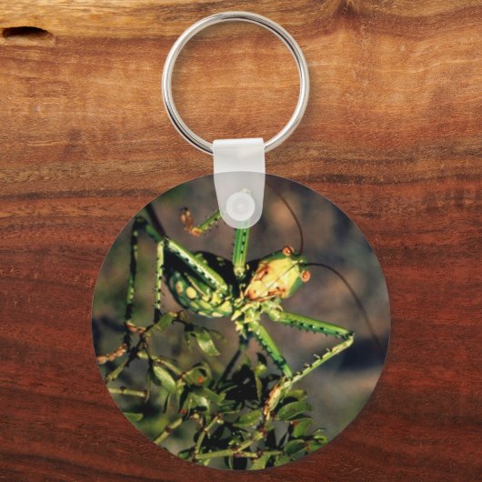 Porte-clés Grasshopper (Recto)