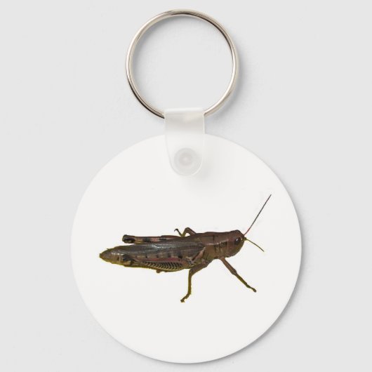 Porte-clés Grasshopper (Recto)