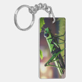 Porte-clés Grasshopper mécanique (Devant gauche)