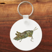 Porte-clés Grasshopper vert (Recto)